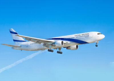 317_Airline