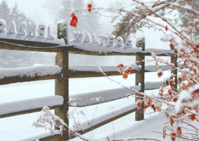 330 Snow-covered Fence