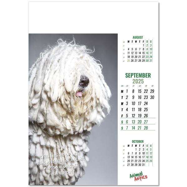 Animal Antics Wall Calendar