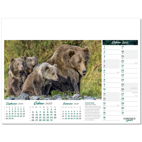 Kindred Spirits Wall Calendar