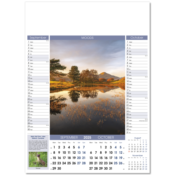 Moods Wall Calendar