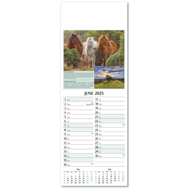 Nature's Glory Slim Wall Calendar