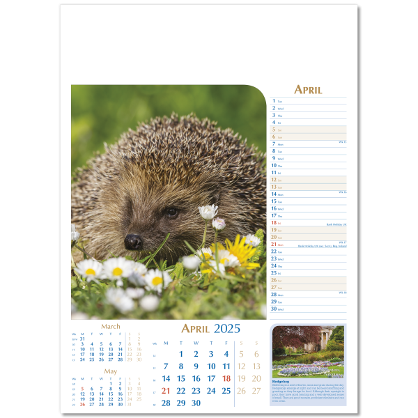 Notable Wildlife Wall Calendar