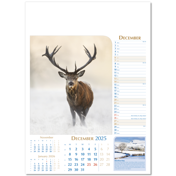 Notable Wildlife Wall Calendar