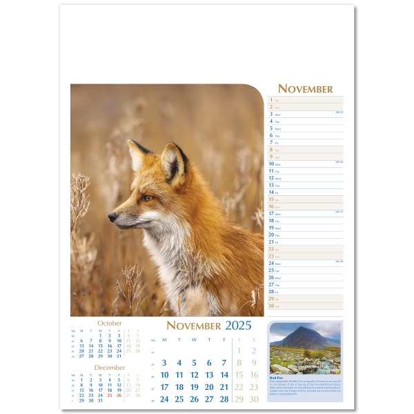 Notable Wildlife Wall Calendar