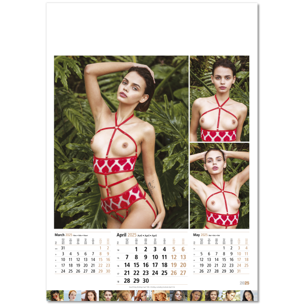 Supergirls Wall Calendar