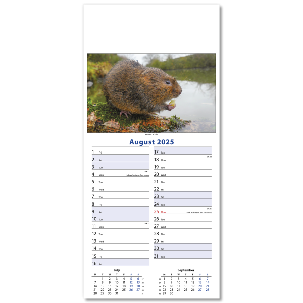 Wildlife Slim Wall Calendar