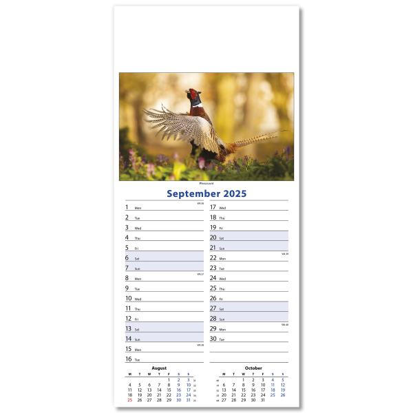 Wildlife Slim Wall Calendar