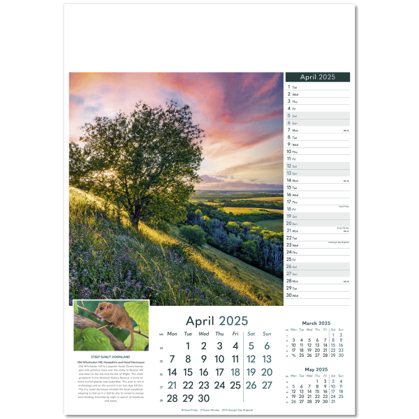 Wonders of Nature Wall Calendar