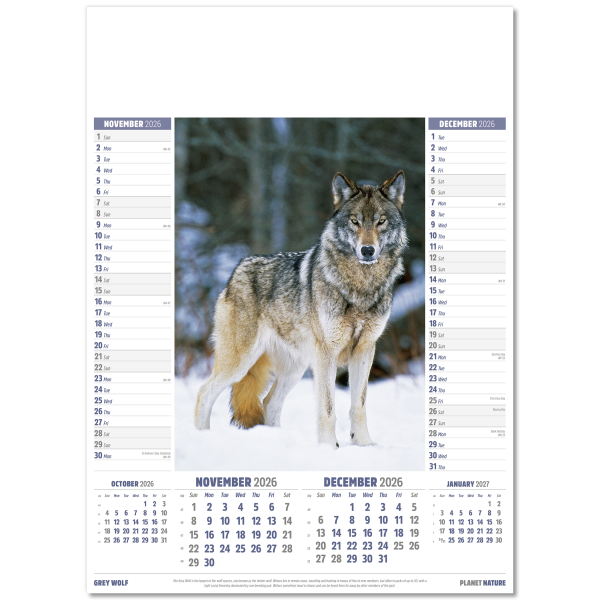 Planet Nature Wall Calendar