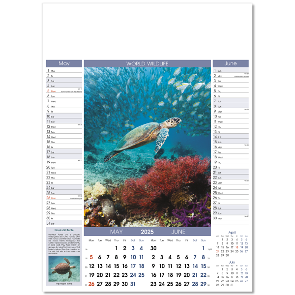 World Wildlife Wall Calendar