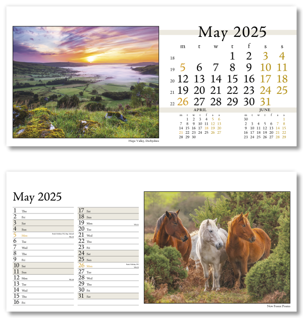 Photo Life PVC Desk Calendar