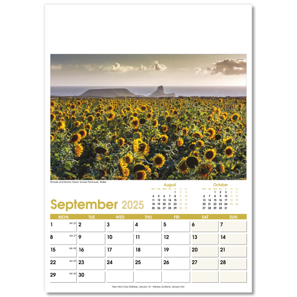 Aspects Wall Calendar - 13 Leaf