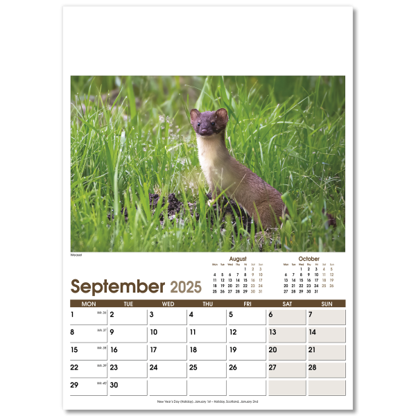 Rural Life Wall Calendar - 13 Leaf