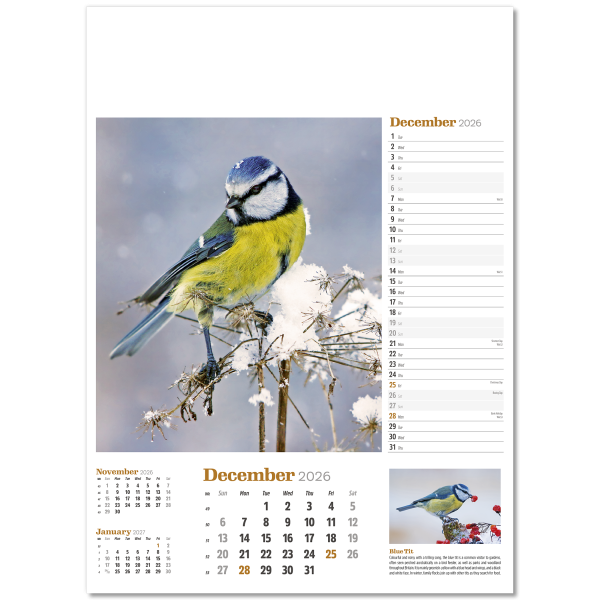 Wildlife in Britain Wall Calendar