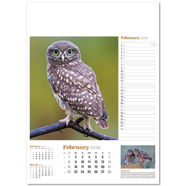 Wildlife in Britain Wall Calendar